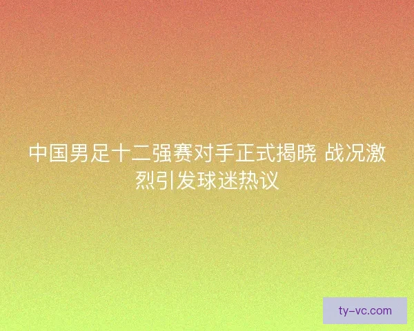中国男足十二强赛对手正式揭晓 战况激烈引发球迷热议