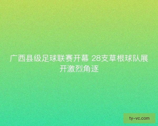 广西县级足球联赛开幕 28支草根球队展开激烈角逐 广西县级足球联赛开幕 28支草根球队展开激烈角逐